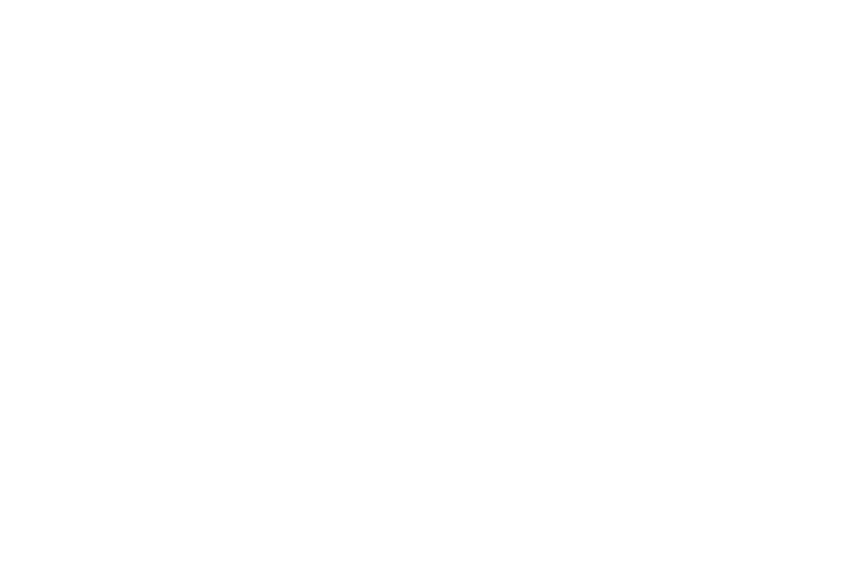 Holfstettner Logo 